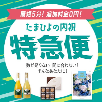 特急便特集