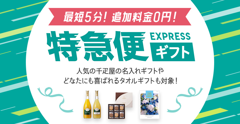 最短翌日出荷 追加料金0円 特急便