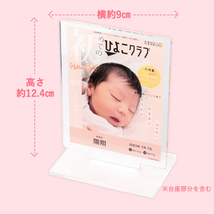参考画像