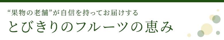 "果実の老舗"が自信を持ってお届けするとびきりのフルーツの恵み
