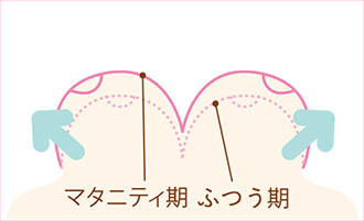 マタニティ期 ふつう期