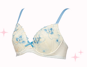 「ワイヤー入りブラ」画像