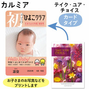 【旬ギフト】「ひよこクラブ」なりきり表紙 写真＆名入れカタログギフト HARMONICK e-book HAK