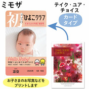 【旬ギフト】「ひよこクラブ」なりきり表紙 写真＆名入れカタログギフト HARMONICK e-book HAU