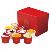 銀座京橋 レ ロジェ エギュスキロール アイスデザート9個入