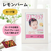 「ひよこクラブ」なりきり表紙 写真＆名入れカタログ ミストラルe-order フレーム付き レモンバーム