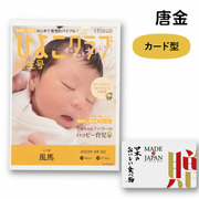 【旬ギフト】写真＆名入れなりきり表紙 カード型カタログギフト  メイドインジャパン with 日本のおいしい食べ物 MJ29＋唐金