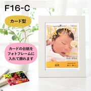 【旬ギフト】写真＆名入れ なりきり表紙 カード型カタログギフト フルーツチョイス F16-C フレーム付き